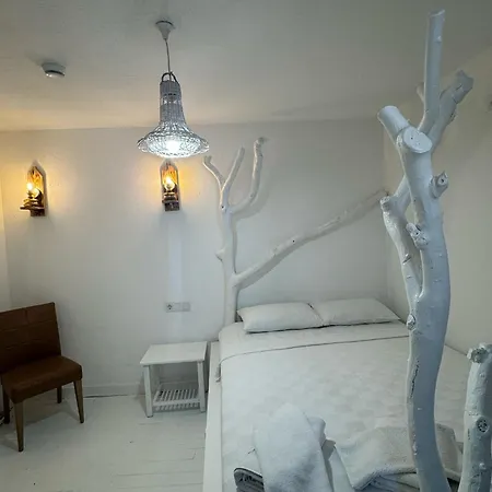 Otel 1881 *